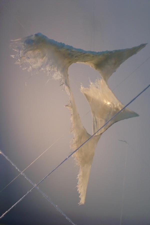 Seraph, Caspar Nikolaus Stützle © Stützle